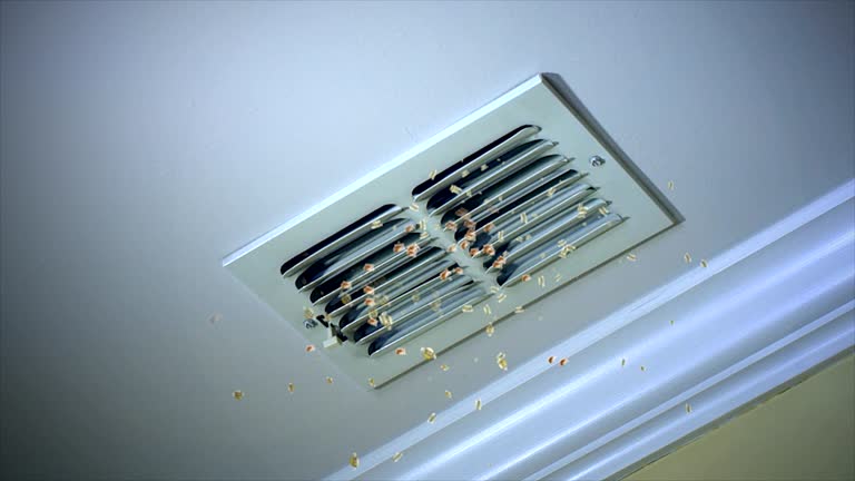 Best Air Duct Cleaning Near Me  in Cameron Park, TX
